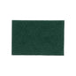 Scotch-Brite Professional General Purpose Scouring Pads — 20 Count