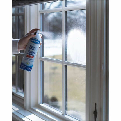 Sprayway Glass Cleaner 12 case 19oz